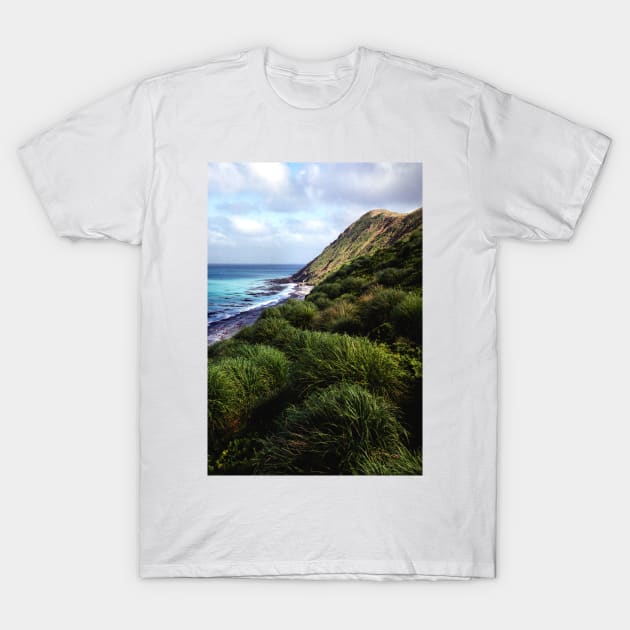 Coastal View, Maquarie Island T-Shirt by Carole-Anne